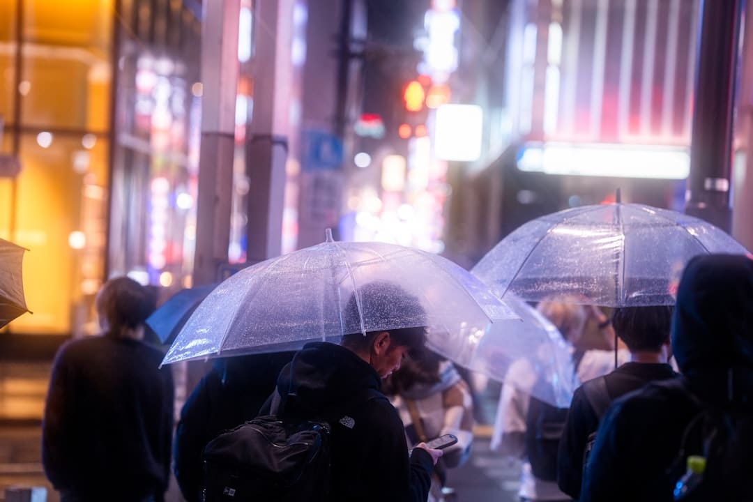 文质彬彬·每日好词语|韬光养晦